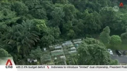 More greenery to be retained at Maju Forest, Gillman Barracks following public feedback