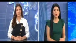 Acción 10 Estelar: Programa del martes 11 de agosto del 2026