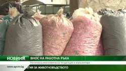 Централна емисия новини на АГРО ТВ – 13.07.2026 г.