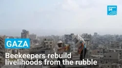 Gaza's beekeepers are rebuilding their livelihoods amid the ruins of war • FRANCE 24 English
