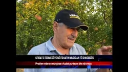 SFIDAT E FERMERËVE NË FSHATIN MURIQAN TË SHKODRËS