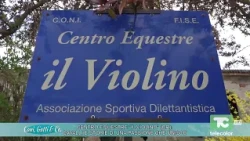 Centro equestre "Il Violino" (CR): cavalli e storie di una passione che unisce