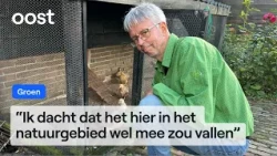 Hobby farmer Rik's eggs contain way too much PFAS | RTV Oost