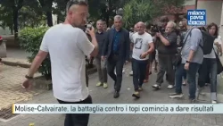 Molise-Calvairate, la battaglia contro i topi comincia a dare risultati