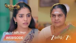 Vaagai Sooda Vaa | மீனாட்சியை பிரிக்க அண்ணபூரணியின் சதித்திட்டம்!