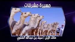 مسيرة مشرقات | مالك الإبل / سيف بن عبدالله الشلوي ( فئة سيف الملك شعل )