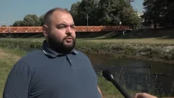ŽDRAL NA SMILOVSKOM JEZERU, NOVO GNEZDO RODA U PIROTU