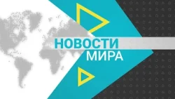 World News (08/11/2026)