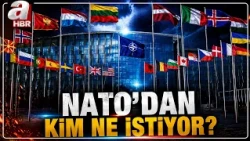 Who Has What in Their Bag at NATO? | A Haber