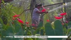Lana Tetuanui: Far from politics, at the heart of her passions