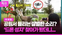 고라니 소리 3배? 공원서 들리는 살벌한 소리, 왜💢😤…‘드론 성지’ 찾아가 봤더니!!! 👀 [직썰]