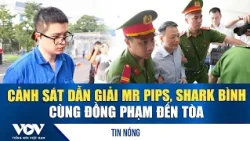 Police Escort Mr. Pips, Shark Binh, and Accomplices to Court | VOV