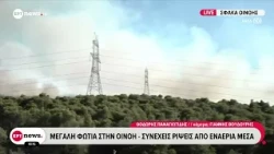 Μεγάλη φωτιά στην Οινόη: Συνεχείς ρίψεις από εναέρια μέσα