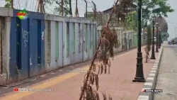KURANGNYA POHON PELINDUNG, BEBERAPA TITIK JALAN TERLIHAT GERSANG