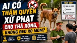 Who has the authority to penalize owners of unleashed dogs without muzzles | Can Tho