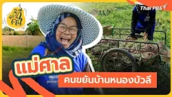 "Mae San," the Hardworker of Nong Bua Li Village | Best Moments, Way of Life Series | Way of Life...