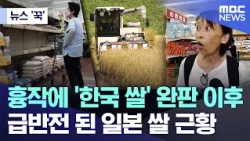 [News 'Click'] From Shortages and Sold-out 'Korean Rice' to a Total Turnaround: The Current State...