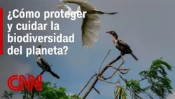 The Importance of Protecting the Planet's Biodiversity
