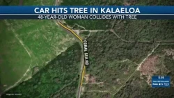 Woman killed after crashing into tree in Kalaeloa