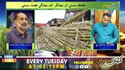 Kheti Sar Seti with Kamal Lashari | 11 August 2026 l Sindh TV News