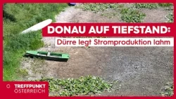 Danube at Record Low: Drought Paralyzes Power Production