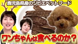 [Taste Test] Toy Poodle goes crazy for it! Trying out Kagoshima wild game pet food