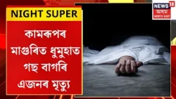 Tragic Incident in Maguri, Kamrup | কামৰূপৰ মাগুৰিত সন্ধিয়াৰ ভাগত অহা ধুমুহাত গছ বাগৰি মৃত্যু এজনৰ