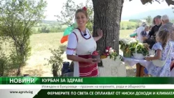 КУРБАН ЗА ЗДРАВЕ: Илинден в Букоровци – празник на корените, рода и общността