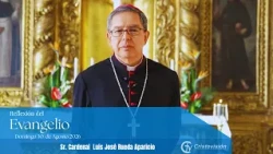 Gospel Reflection August 30
