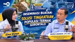 INSIDE GOVERNMENT PODCAST | “Artificial Insemination: A Solution to Increase Gorontalo’s Livestoc...