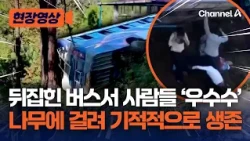뒤집힌 버스에서 사람들이 ‘우수수’…대형 버스 추락했지만 나무에 걸려 기적적 생존 [현장영상] / 채널A