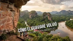How Guaviare turned the jungle into big business - TvAgro by Juan Gonzalo Angel