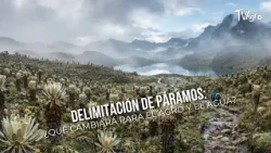 Delimiting Paramos: What Will Change for Agriculture and Water? - TvAgro by Juan Gonzalo Angel