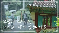 Pohang's 'Deokdong Village,' Where Virtuous People Gather [Road to Marriage] | KBS Joy Aired 06/2...