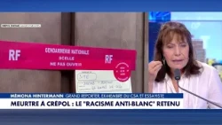 Mémona Hintermann: "Anti-white racism served as fuel. It guided the knife"