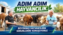 BÜYÜKBAŞ HAYVANCILIĞIN SORUNLARINI KONUŞUYORUZ I ADIM ADIM HAYVANCILIK