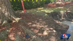 Work continues on sinkhole in Lake Terrace