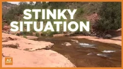 Why Sedona officials are checking for E. coli in Oak Creek water
