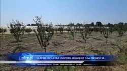 Murrizi me njerëz puntorë, ringrihet nga përmbytja