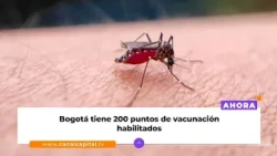 Fenómeno de El Niño aumenta alerta por dengue y fiebre amarilla | Salud