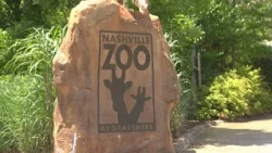 What Nashville's new data center rules could mean for the proposed zoo-area project
