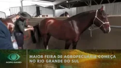 Expointer 2026 kicks off in Rio Grande do Sul | Agro Band