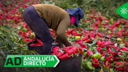 Andalucía directo | Jueves 27 de agosto