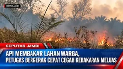 FIRE BURNS RESIDENTIAL LAND, FIREFIGHTERS MOVE QUICKLY TO PREVENT SPREAD