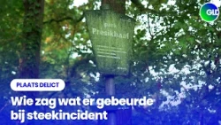 Who witnessed the stabbing in Park Presikhaaf? | Crime Scene