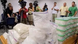 Multimillion-rand drug lab suspects appear in S.Africa court