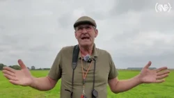 Jaarlijkse ganzentelling moet in kaart brengen waar zij leven: 'Poepen alles onder'