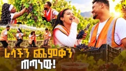 በወይን እርሻ ፡  አስደናቂ የወይን ለቀማና የጨመቃ ፉክክር በባቱ