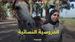 Lydia: An Algerian Horsewoman Turns Her Passion for Horses into a Women's Equestrian Project #Watch