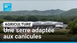 Agriculture : une serre adaptée aux futures canicules • FRANCE 24
